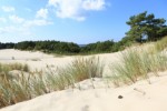Hotel Hotel Havet Resort & Spa wakacje