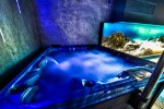 Hotel Max Health Resort Spa wakacje
