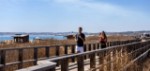 Hotel Pestana Alvor South Beach wakacje