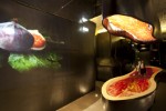 Hotel Figueira by The Beautique Hotels wakacje
