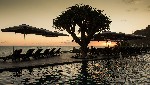 Hotel Saccharum Resort wakacje