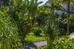 Hotel Buganvilia wakacje