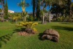 Hotel Quinta Jardins Do Lago wakacje
