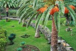 Hotel Dom Pedro Madeira wakacje