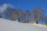 Hotel Familien- und Wellnesshotel Der Hanneshof - Das Montana wakacje