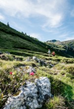 Hotel Familien- und Wellnesshotel Der Hanneshof - Das Montana wakacje