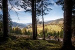 Hotel Familien- und Wellnesshotel Der Hanneshof - Das Montana wakacje