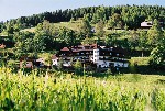Hotel Hotel Stigenwirth wakacje