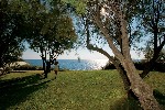 Hotel Grand Resort Lagonissi wakacje