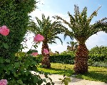 Hotel Alexandros Palace wakacje