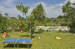 Hotel Likithos Village Hotel wakacje