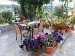 Hotel Ziogas Luxury Apartments wakacje