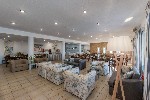 Hotel DEDALOS HOTEL-MALIA wakacje