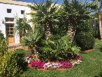 Hotel DEDALOS HOTEL-MALIA wakacje
