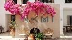 Hotel NAMI HOTEL & SUITES wakacje