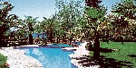Hotel CALYPSO BEACH HOTEL wakacje