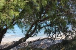 Hotel Asterias Bay wakacje