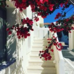 Hotel Aphrodite Samos Suites wakacje