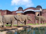 Hotel Magic Natura Animal WaterPark Polynesian Lodge Resort wakacje