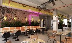 Hotel Ryans Lola's Ibiza wakacje
