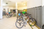 Hotel THB Sur Mallorca wakacje