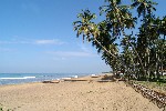 Hotel Royal Palms Beach wakacje