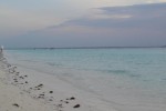 Hotel Union Beach Bungalow Zanzibar wakacje