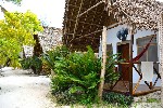 Hotel NEW JAMBO BUNGALOWS wakacje