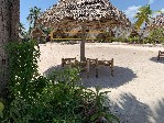 Hotel NEW JAMBO BUNGALOWS wakacje
