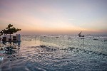 Hotel Park Hyatt Zanzibar wakacje