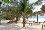 Hotel Jaz Adonia Beach Resort wakacje