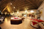 Hotel Jaz Adonia Beach Resort wakacje