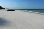Hotel Jaz Adonia Beach Resort wakacje