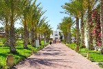 Hotel Palm Azur wakacje