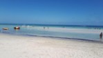 Hotel Djerba Golf Resort & SPA wakacje