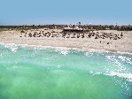 Plaża