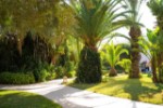 Hotel Eden Yasmine Resort wakacje