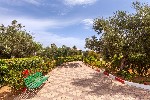 Hotel El Mouradi Palace wakacje