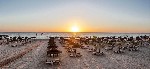 Hotel Occidental Sousse Marhaba wakacje