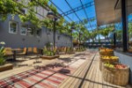 Hotel Cook's Club Alanya wakacje