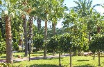 Hotel LONICERA WORLD HOTEL wakacje
