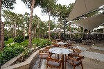 Hotel BALMY FORESTA wakacje