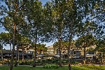 Hotel BALMY FORESTA wakacje