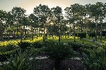 Hotel BALMY FORESTA wakacje