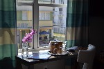 Hotel Hotel Shelley wakacje