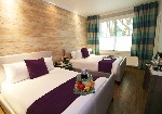 Hotel Hotel Shelley wakacje