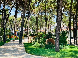 Hotel DIAMMA RESORT CONFERENCE & SPA wakacje