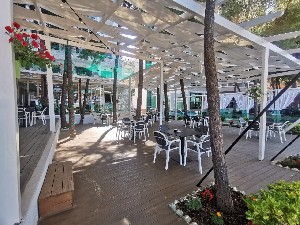 Hotel NEW AKILEDA HOTEL wakacje