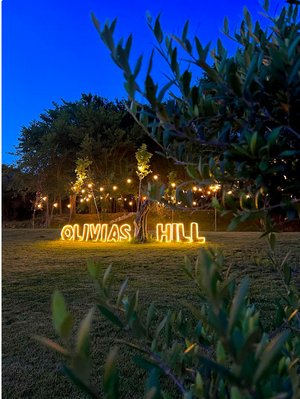 Hotel OLIVIA'S HILL RESORT wakacje