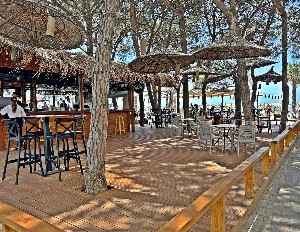 Beach bar